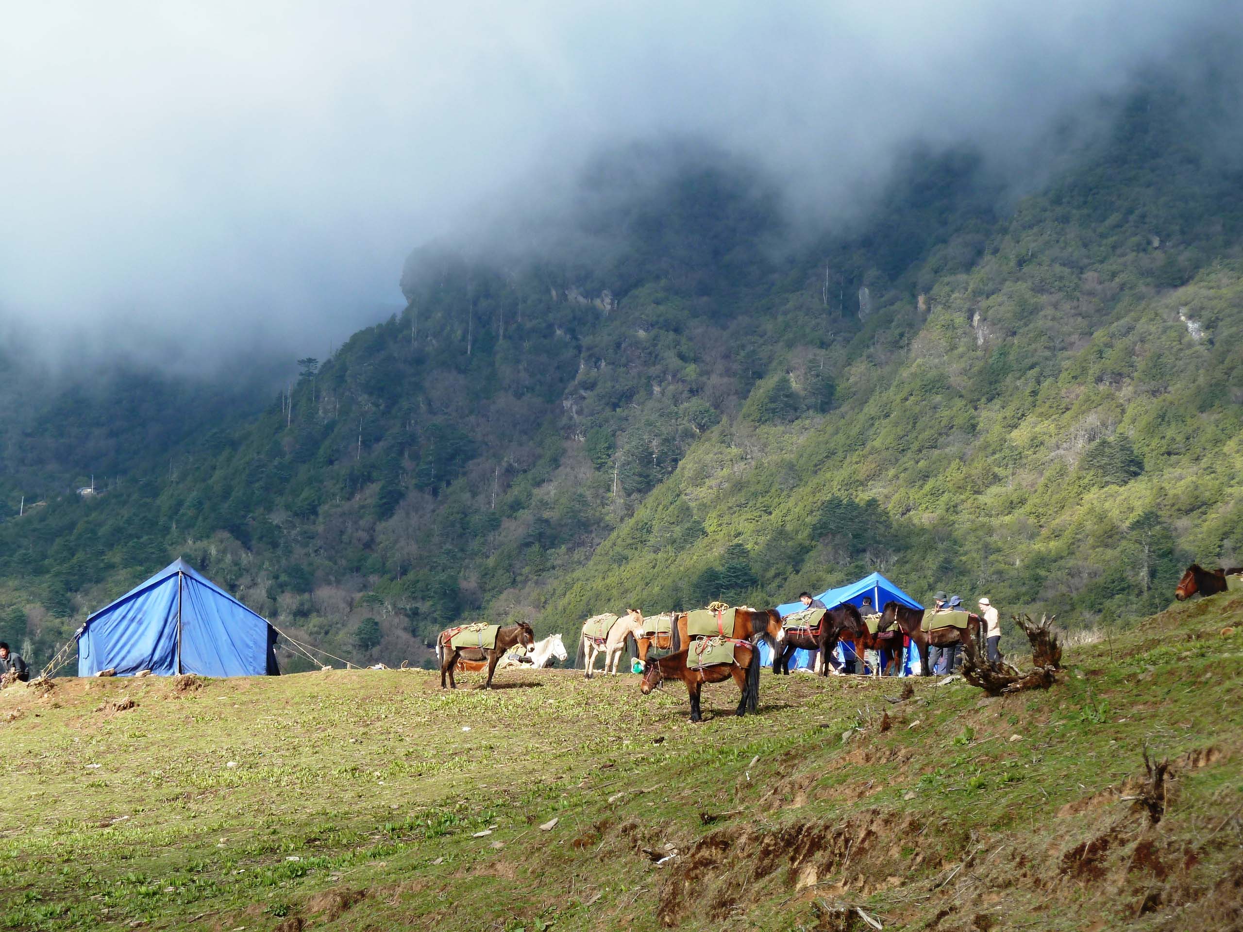 Explore the Land of Happiness